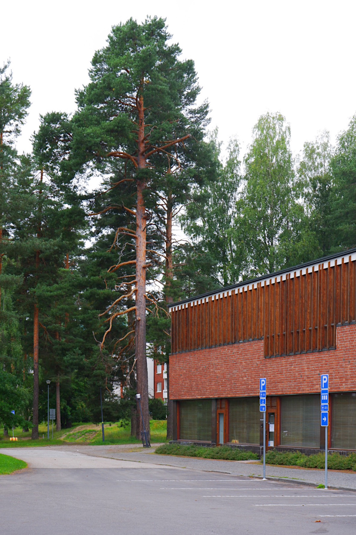Processed with VSCO with ss1 preset Säynätsalo Town Hall by Alvar Aalto