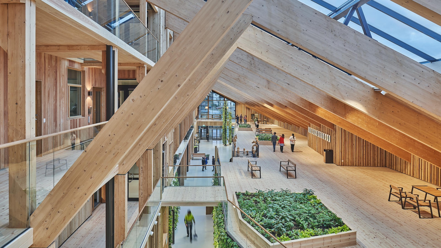 Can wood be used in healthcare environments?