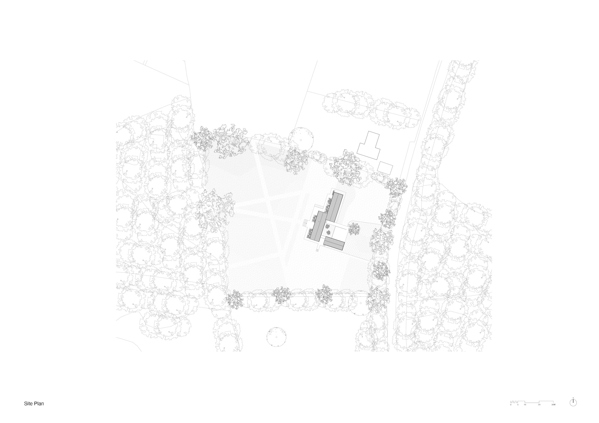 House in a Clearing
