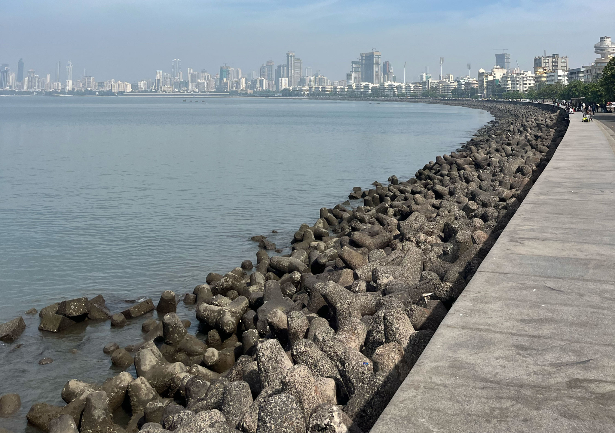 My Kind of Town: Manijeh Verghese