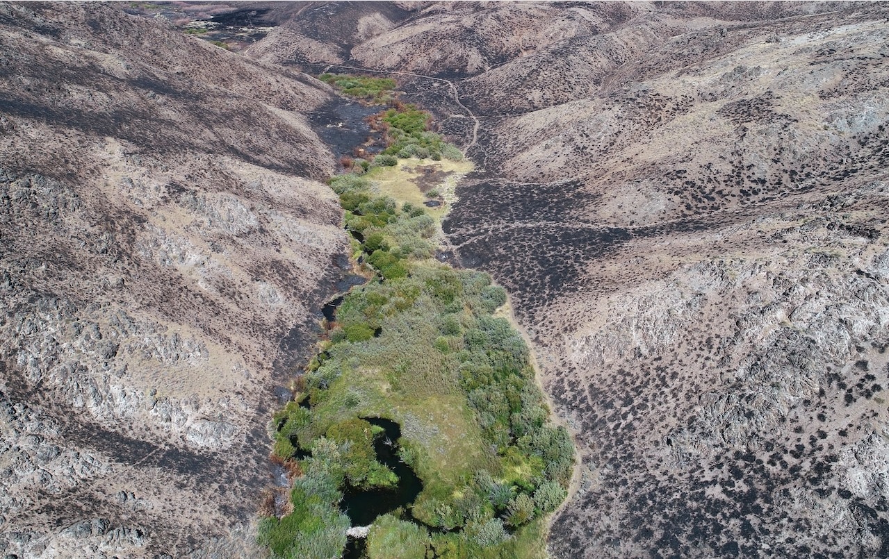 Designing as nature