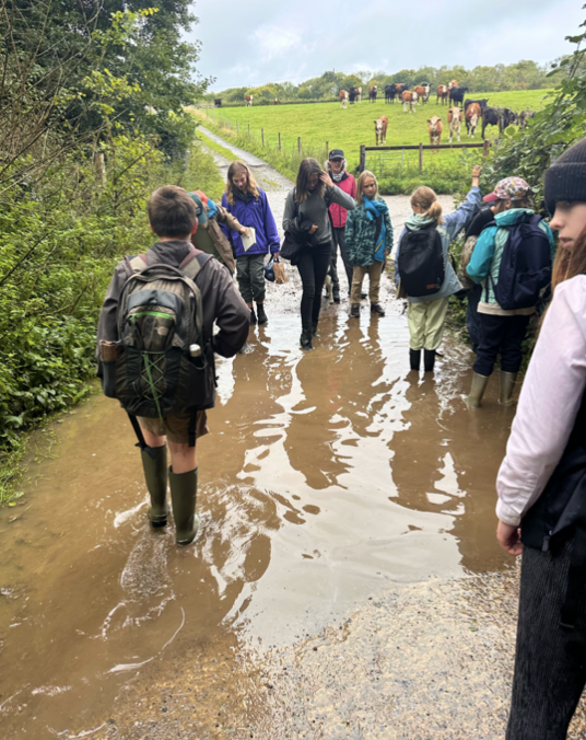 Screenshot 2025-10-29 at 07.46.56